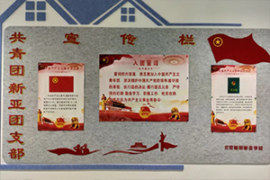 北京市朝陽區(qū)新亞學校開展團課活動：共繪青春新篇章！