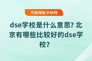 dseWУʲô˼Щ^õdseWУ