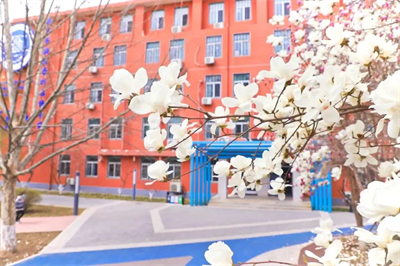 北京新府學外國語學校(國內(nèi)班)高中用戶家長關(guān)注需求點整理，2025年擇校必讀