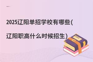 2025|(yng)ЌW(xu)УЩ(|(yng)ʲôr(sh))