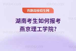 ϿΈ(bo)ྩW(xu)Ժ?2024ȡ?jn)?sh)c2025A(y)y