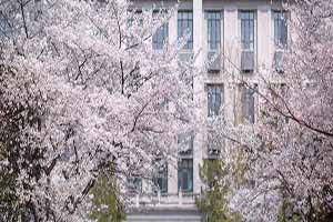 zDW(wng)_501741855_hWѻ(I(y)).jpg