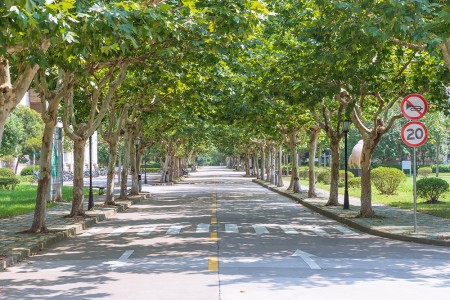 2025北京海淀區(qū)尚麗外國語學校小學非京籍入學條件解讀，附入學材料清單！