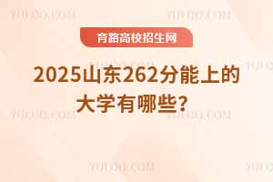 2025ɽ|262ϵĴW(xu)ЩԈԺУ