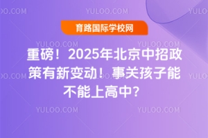 ذ2025걱׃P(gun)ܲϸ
