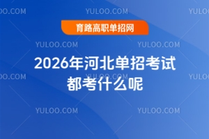 2026ӱпԇʲô