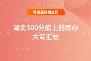 300ϵk󌣅R