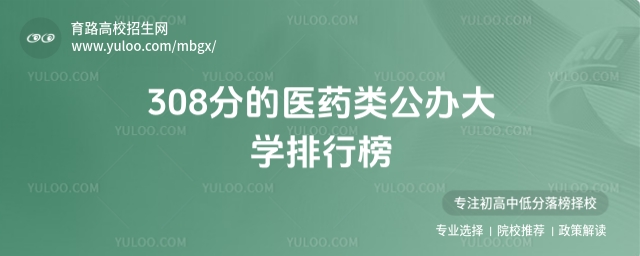 308ֵt(y)ˎkW(xu)а2025