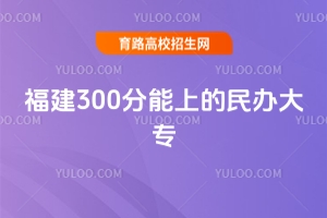 2025긣300ϵkЩ