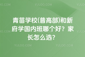 青苗學(xué)校(普高部)和新府學(xué)國內(nèi)班哪個好？家長怎么選？