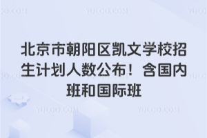 2025年北京市朝陽(yáng)區(qū)凱文學(xué)校招生計(jì)劃人數(shù)公布！含國(guó)內(nèi)班和國(guó)際班