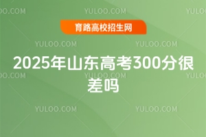 2025ɽ|߿300Ĳ᣿W;Ȼ