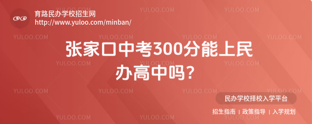 ҿп300kІ