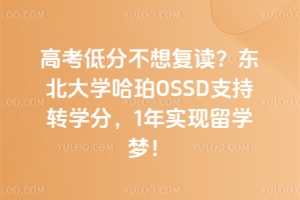 ߿ͷֲ(f)x|W(xu)OSSD֧D(zhun)W(xu)֣1ꌍ(sh)F(xin)W(xu)(mng)