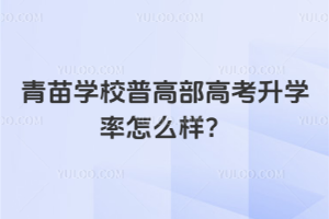 青苗學(xué)校普高部高考升學(xué)率怎么樣？
