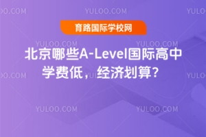 ЩA-LevelHЌW(xu)M(fi)(jng)(j)