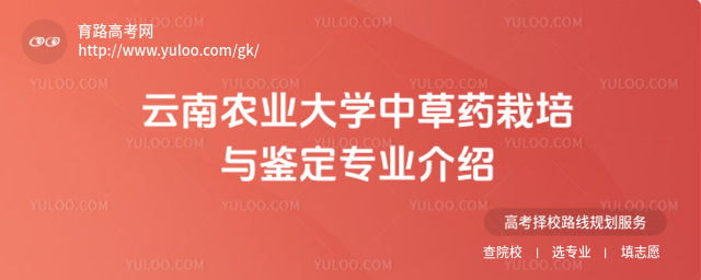 r(nng)I(y)W(xu)вˎcbI(y)B