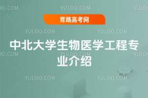 бW(xu)t(y)W(xu)̌(zhun)I(y)B
