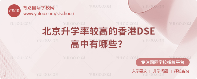 W(xu)^ߵDSE