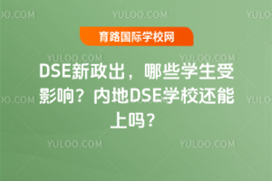 DSEЩW(xu)Ӱ?j)?ni)DSEW(xu)У߀φ᣿