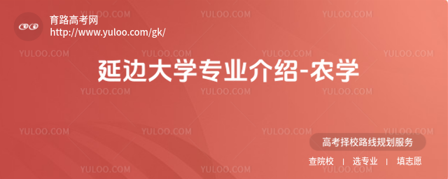 ߅W(xu)I(y)B-r(nng)W(xu)