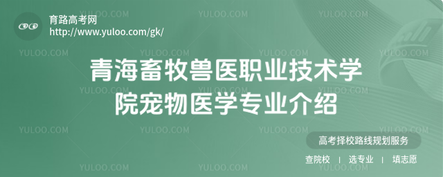 ຣFt(y)I(y)g(sh)W(xu)Ժt(y)W(xu)I(y)B