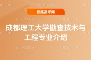 ɶW(xu)鼼g(sh)čI(y)B