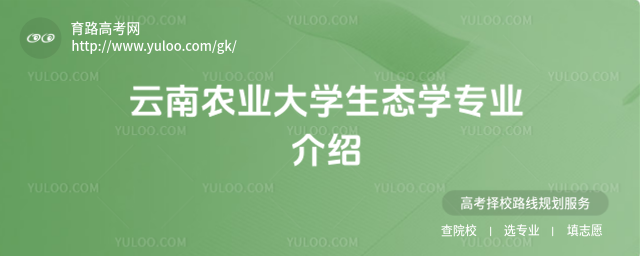 r(nng)I(y)W(xu)B(ti)W(xu)I(y)B