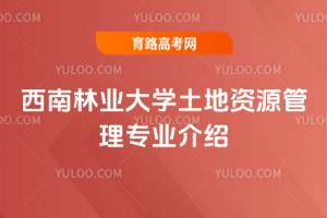 ֘I(y)W(xu)YԴ팣I(y)B