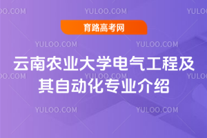 r(nng)I(y)W(xu)늚⹤̼Ԅ(dng)I(y)B