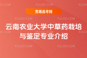 r(nng)I(y)W(xu)вˎcbI(y)B