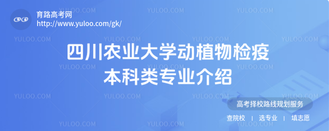 Ĵr(nng)I(y)W(xu)(dng)ֲz߱I(y)B