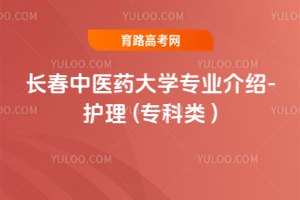 Lt(y)ˎW(xu)I(y)B-o ( )