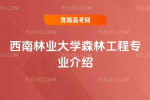 ֘I(y)W(xu)ɭֹ̌I(y)B