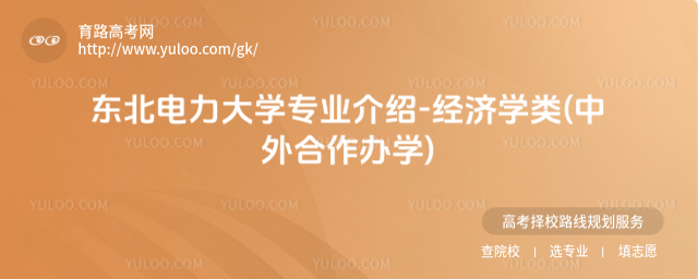 東北電力大學(xué)專業(yè)介紹-經(jīng)濟學(xué)類(中外合作辦學(xué))