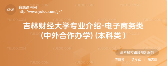 吉林財經大學專業(yè)介紹-電子商務類(中外合作辦學) (本科類 )