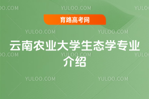 r(nng)I(y)W(xu)B(ti)W(xu)I(y)B