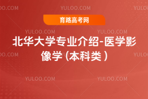 AW(xu)I(y)B-t(y)W(xu)ӰW(xu) ( )