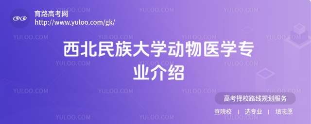 W(xu)(dng)t(y)W(xu)(zhun)I(y)B