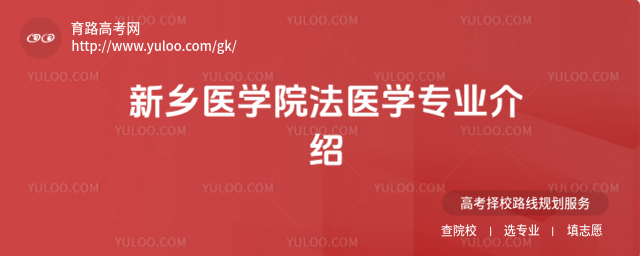 l(xing)t(y)WԺt(y)WI(y)B