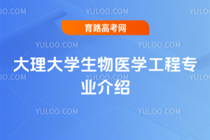 W(xu)t(y)W(xu)̌I(y)B