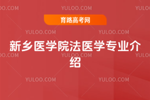 l(xing)t(y)WԺt(y)WI(y)B