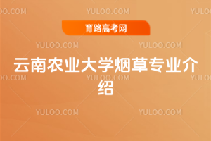 r(nng)I(y)W(xu)݌I(y)B