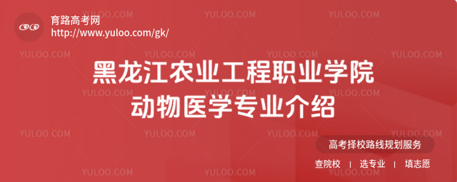 黑龍江農(nóng)業(yè)工程職業(yè)學院動物醫(yī)學專業(yè)介紹