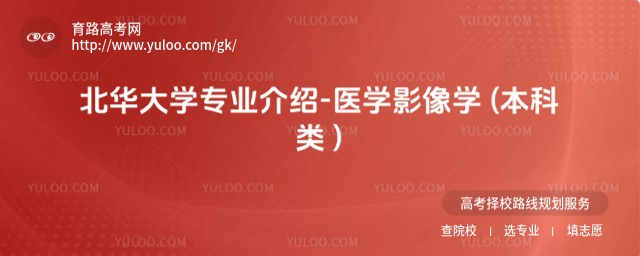 AW(xu)I(y)B-t(y)W(xu)ӰW(xu) ( )