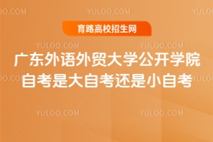 廣東外語外貿(mào)大學(xué)公開學(xué)院自考是大自考還是小自考？