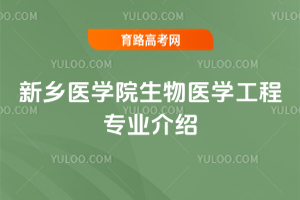 l(xing)t(y)WԺt(y)W̌I(y)B