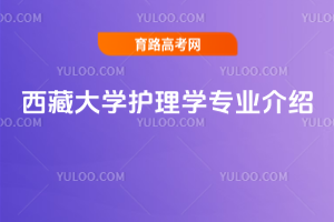 شW(xu)o(h)W(xu)(zhun)I(y)B