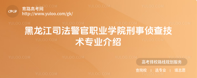 ˾I(y)W(xu)Ժɲ鼼g(sh)I(y)B