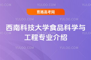 ϿƼWʳƷƌWčI(y)B